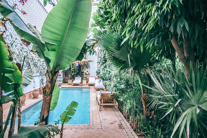 small space water garden